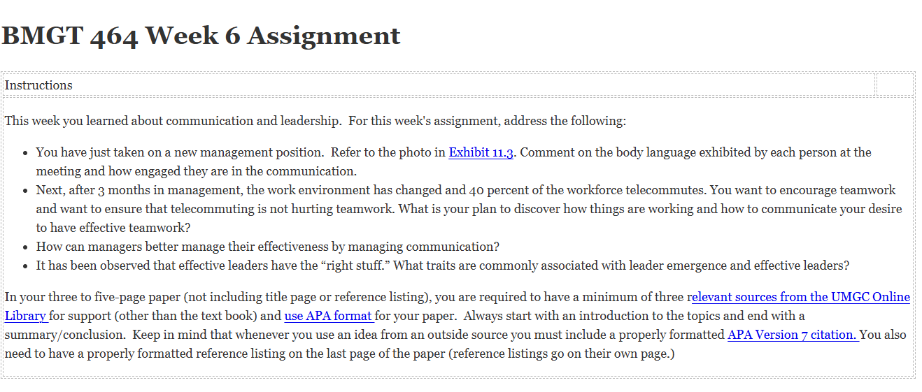 (FINAL ANSWER) BMGT 464 Week 6 Assignment